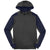 Sport-Tek Tech Fleece Colorblock 1/4-Zip Hooded Sweatshirt. ST249